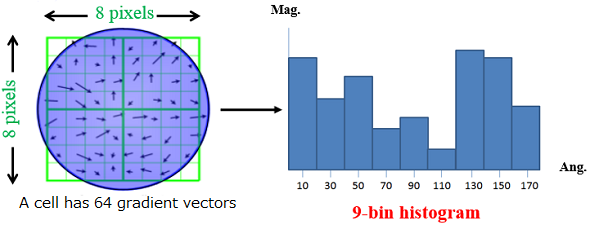 Equation 5